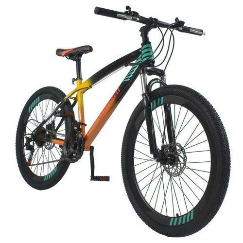 Bicicleta Montaña Profesional R26 21v Frenos De Disco Multicolor