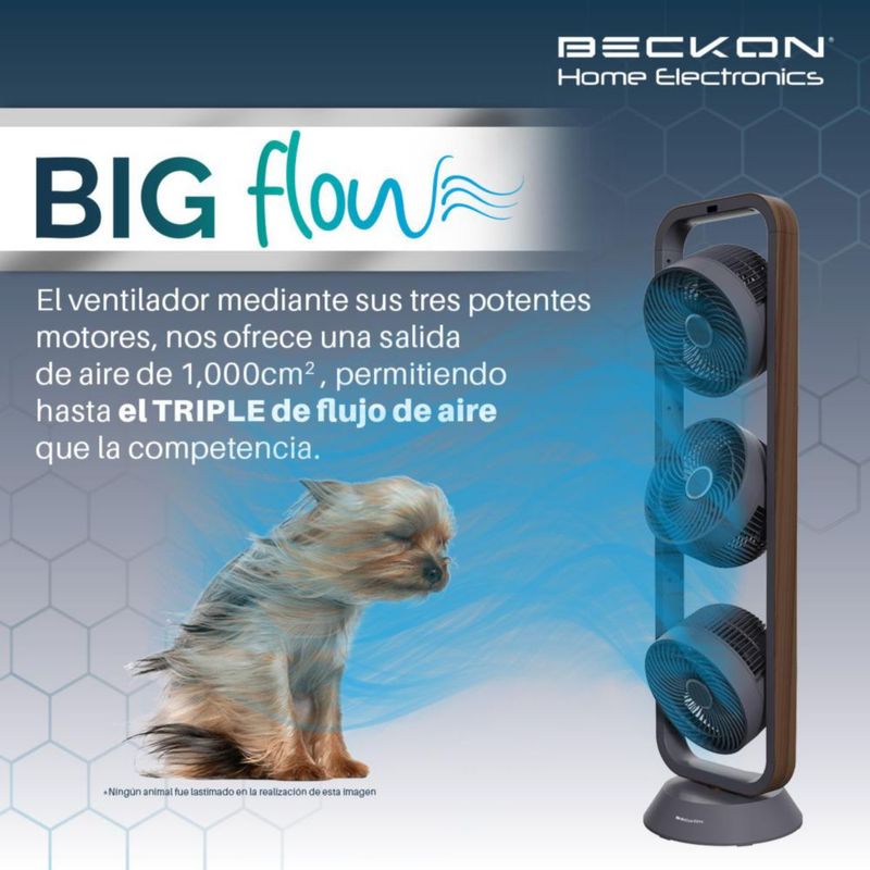 KINGTEC6-JPG