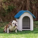 Dog-House---Turquesa---Perspectiva-2