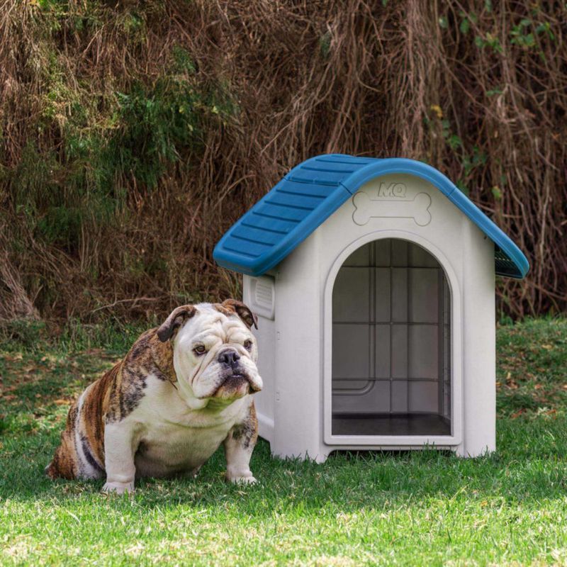 Dog-House---Turquesa---Perspectiva-2