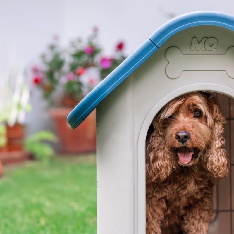 Dog-House---Turquesa---Perspectiva-1