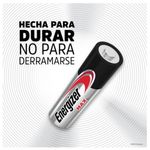 40000005045813-d1
