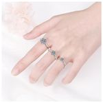 Circonia-Anillos-ZMH-TYX.jpeg