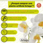 NOVIA3-JPG