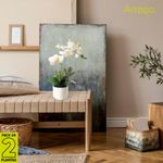 NOVIA7-JPG