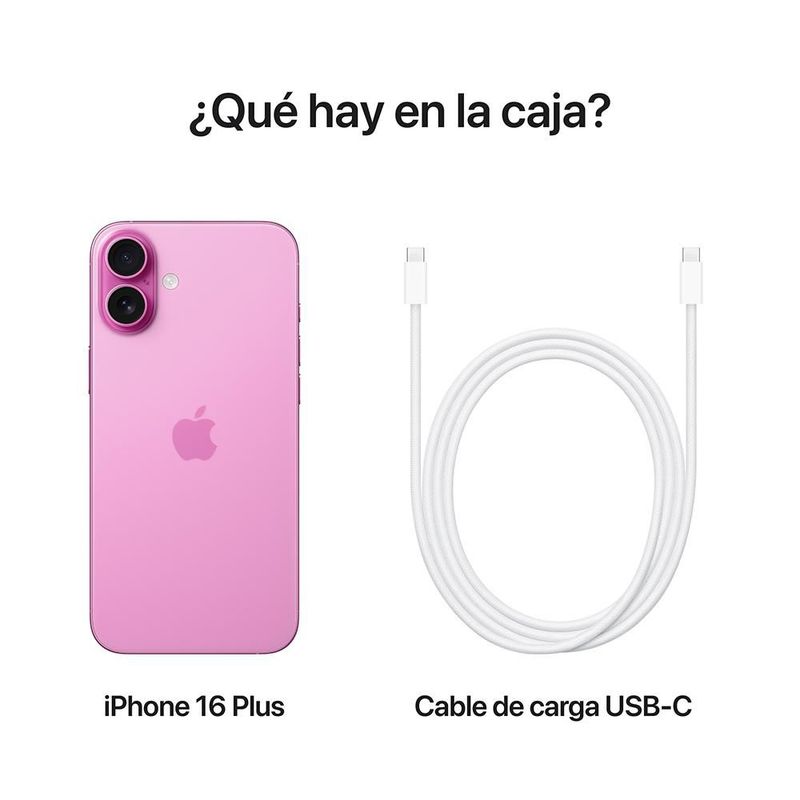 31061000-d7