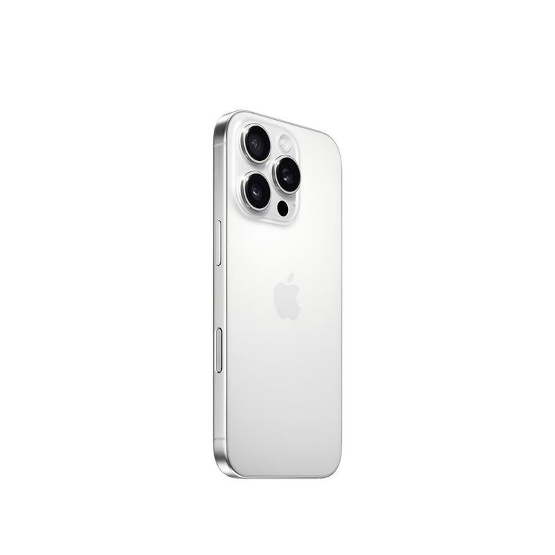 31061010-d2