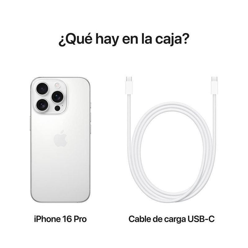 31061010-d7