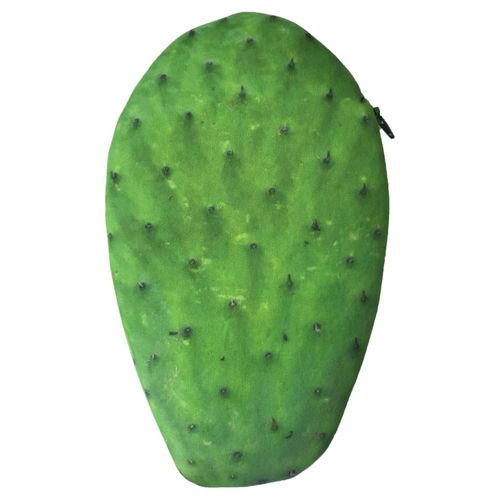 Lapicera Monedero en forma de Nopal