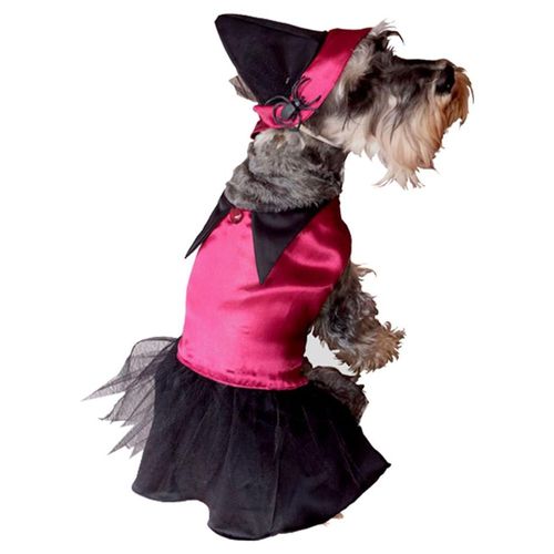 Disfraz Bruja Perro Halloween Talla 6 Mascota Pet Pals