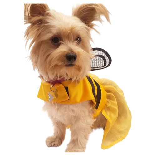 Disfraz Abeja Perro Halloween Talla 6 Mascota Pet Pals