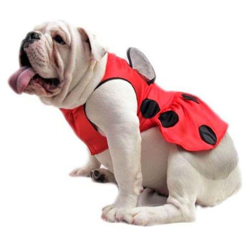 Disfraz Catarina Perro Halloween Talla 6 Mascota Pet Pals