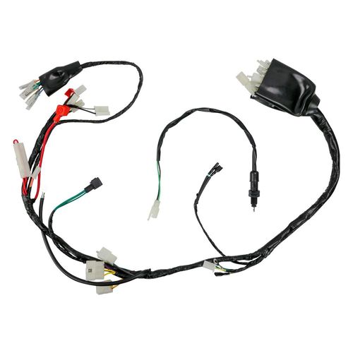 Arnes Electrico Italika Dm 250 (20-21)