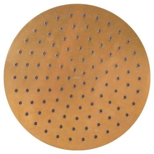 Regadera De Plato Redonda Oro 2225inox.5 Urrea