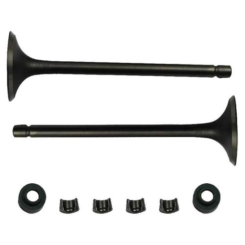 Valvula Admision/Escape Set Italika Ft 125 Clasica (12-16)