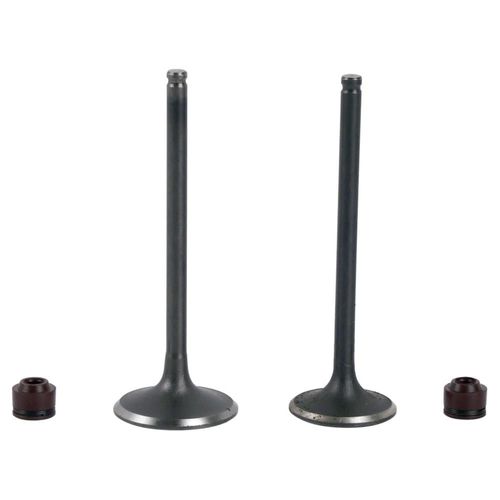 Valvula Admision/Escape Set Italika Ft 150 Hd (20-22)