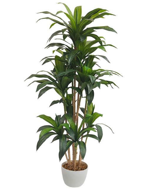Planta artificial decorativa JUNGLA con maceta Dracaena 170cm de alto