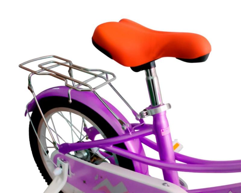 BICI-0015-02
