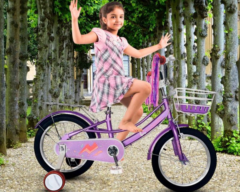 BICI-0015-03