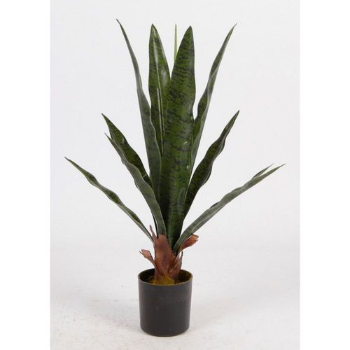 Planta Decorativa Sansevieria Verde con Maceta Negra