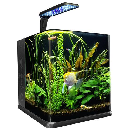Lomas Acuario Nano Cubo para Peces con Capacidad de 18 Litros