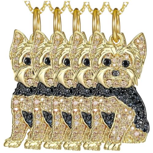 Royal Yorkie Dijes y Cadenas DogNeck07 MXNDK-005 Cadena de Mascotas