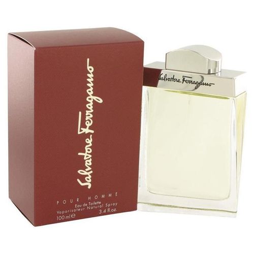 Salvatore Ferragamo Pour Homme Eau de Toilette 100 ml