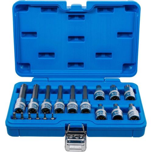 JUEGO DE DADOS CON PUNTA | 1/4 / 1/2 | TORX | BGS 5173