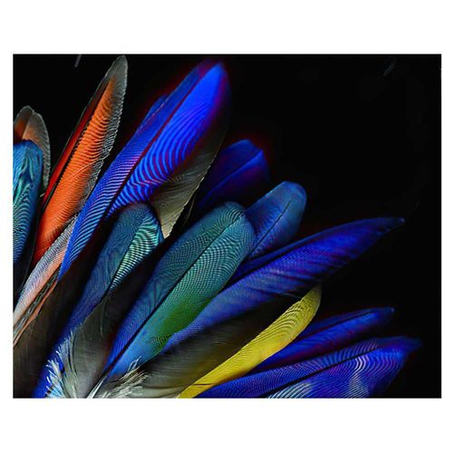 Tapete Sala Oficina Estilo Nórdico 160x200 cm plumas 3D