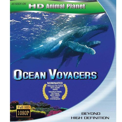 Viajero del Océano (2009) Documental en BluRay