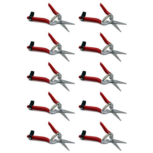 PACK 10 TIJERAS RECTA PUNTA LARGA INOXIDABLE MAPLE TOOLS