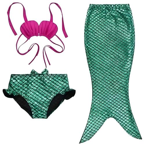 Mi Centro Histórico MICH