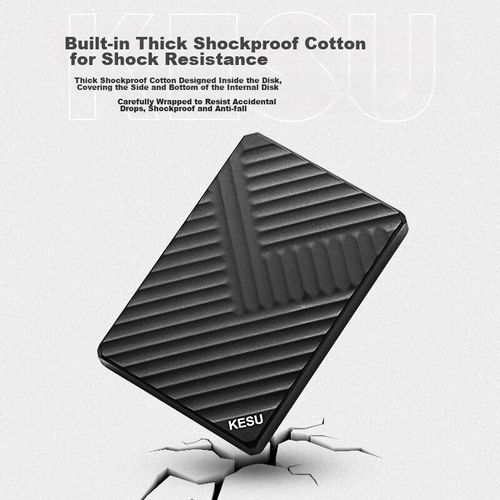 Disco Duro KESU K205 500G Negro