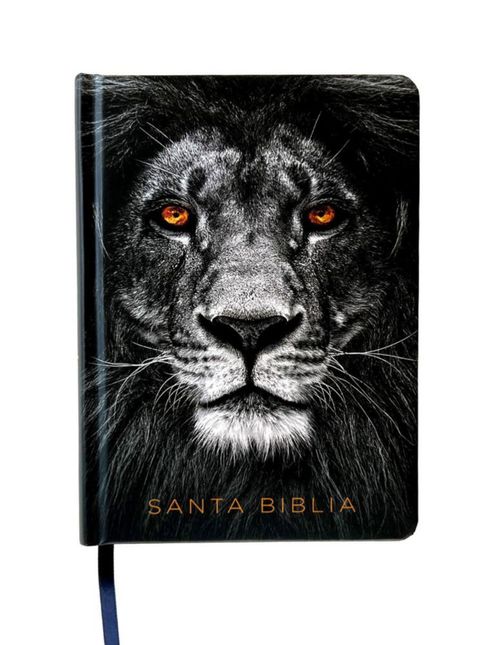 Biblia RVR 1960 Letra Grande Tapa dura con Índice León de Judá 🇮🇱 Edición Reina Valera Revisada 1960.