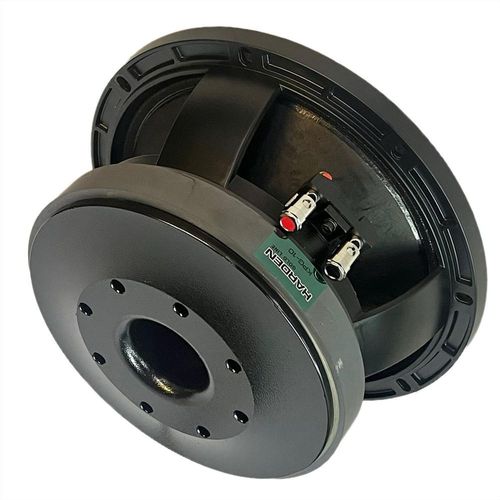 Subwoofer Profesional 10 Pulgadas Kpg 10