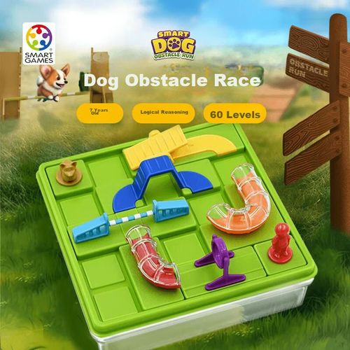 Juego de Obstáculos SMART GAMES 60 niveles s