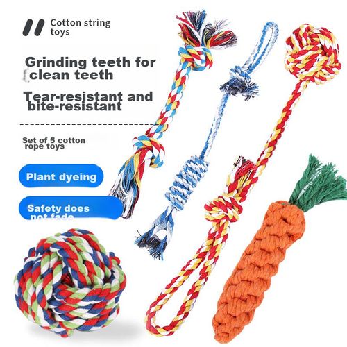 Set de juguetes para perro 5pzas