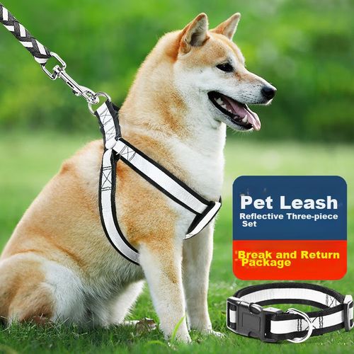 Pechera con correa para perro talla L