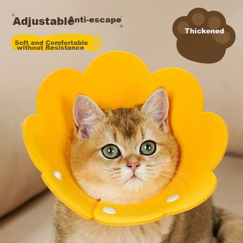 Collar isabelino para perro y gato M