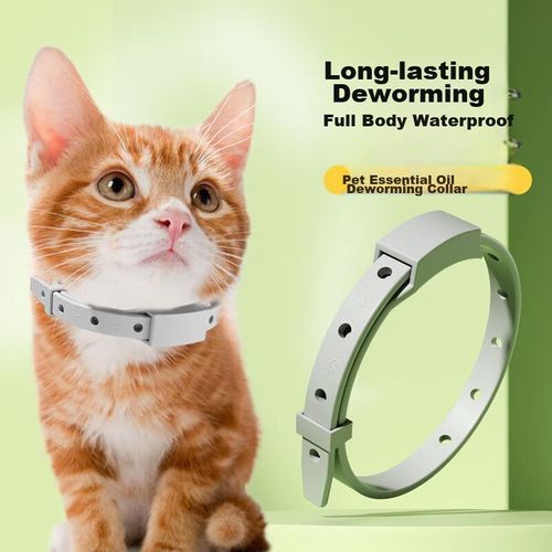 Collar antipulgas para gatos 38cm,verde