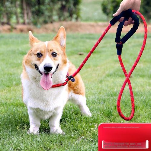 Correa para perros 1.8cm,rojo