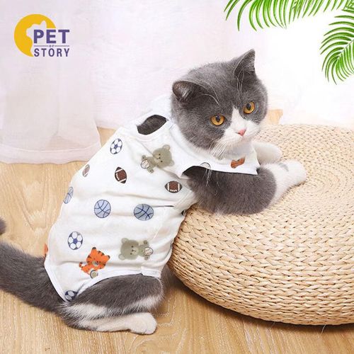 Traje de recuperación para gatos Talla L