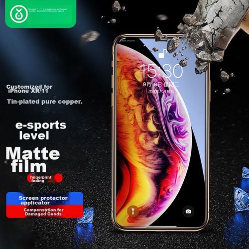Protector de Pantalla Cristal Templado Antihuellas BIAZE para iPhone 11