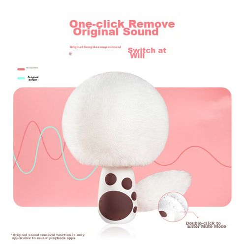 Micrófono Changba G21 Inalámbrico Con Altavoz Integrado Negro