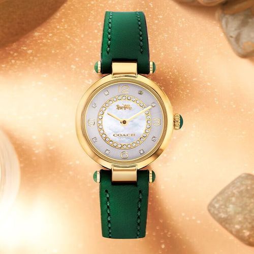 Reloj Coach Cary Cuarzo Verde Esfera Nácar Para Mujer