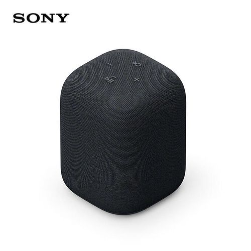 Bocina Bluetooth SONY LinkBuds Negro