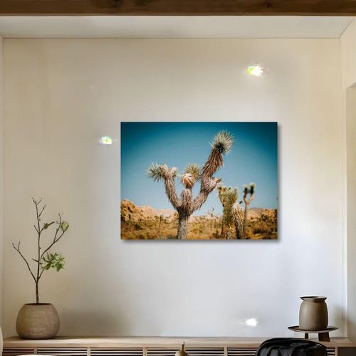 Cuadro Decorativo Planta 40x60cm Palma Desértica