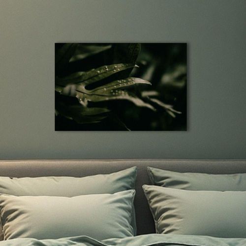 Cuadro Decorativo Planta 20x30cm Helecho