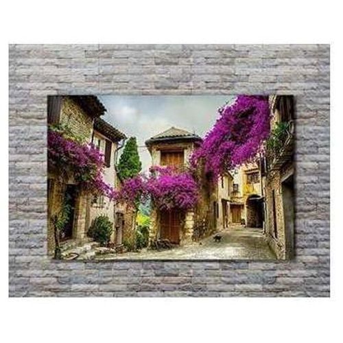 Cuadro Decorativo Bugambilia - Multicolor