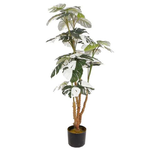 Planta Decorativa Monstera Verde y Blanco con Maceta Negra